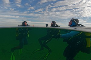 Winter training sessions have started © Octopus Foundation