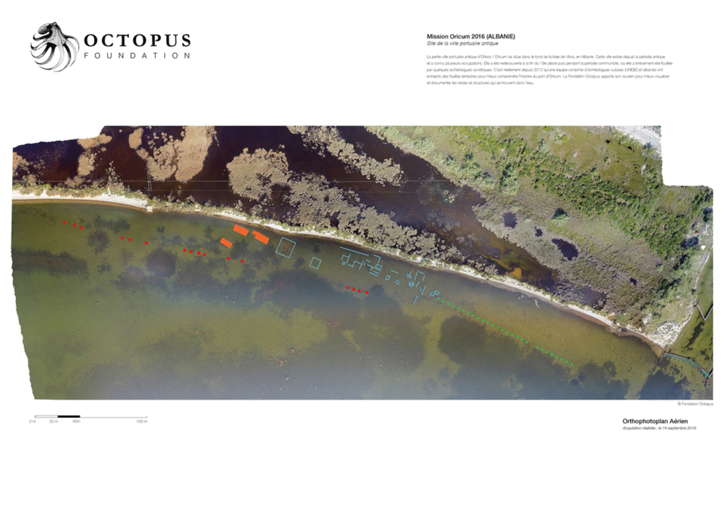 Hundreds of undocumented remains are visible on this 2016 aerial orthophotoplan © Fondation Octopus