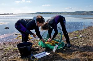 After the transect with the pushnet, the content is brought back to shore to be sorted out. The captured fish are quickly and delicately placed in a bucket filled with sea water, waiting to be measured © LOUISY Patrick
