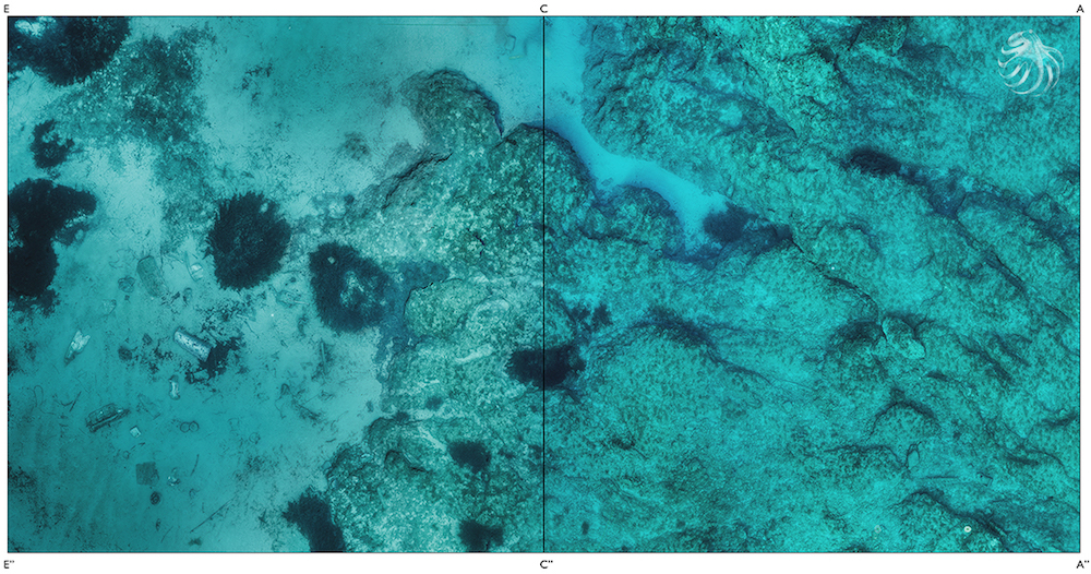 Underwater orthophotoplan, a scientific tool of centimetric accuracy © Octopus Foundation