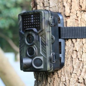 Motion-detected hunting trigger camera