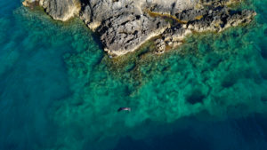 Aerial drones are useful to spot and follow monk seals, without disturbing them © Octopus Foundation