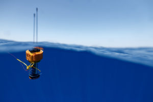 La balise du REMORA peut flotter grâce à sa bouée qui comprend des cubes de mousse incompressible © Julien Pfyffer / Fondation Octopus