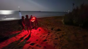 L'équipe d'Octopus rejoint l'équipe de Wildlife Sense sur une plage au Sud de l'île de Kefalonia au moment où une tortue femelle adulte a commencé à pondre ses oeufs © Octopus Foundation